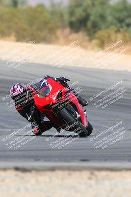 media/Apr-10-2022-SoCal Trackdays (Sun) [[f104b12566]]/Turn 10 (1pm)/